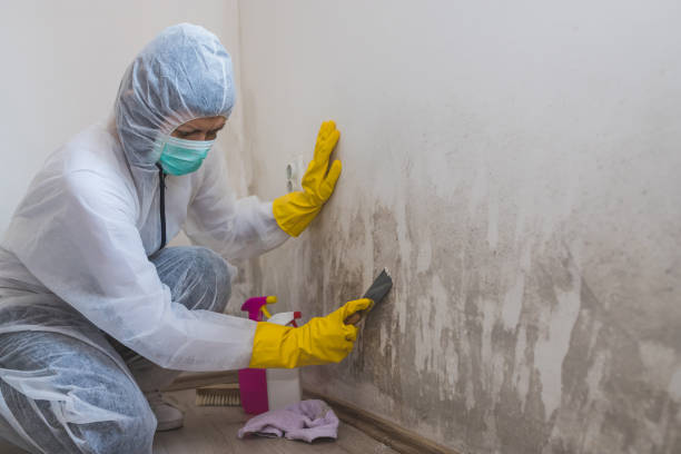 Mold Remediation for Rental Properties in Fussels Corner, FL