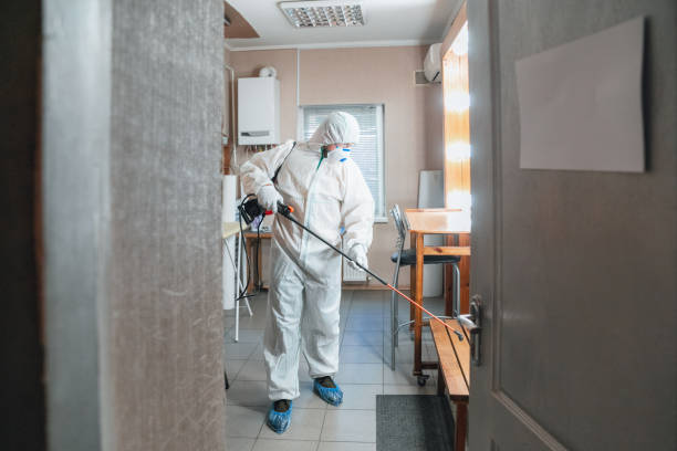 Mold Removal for HVAC Installations in Fussels Corner, FL