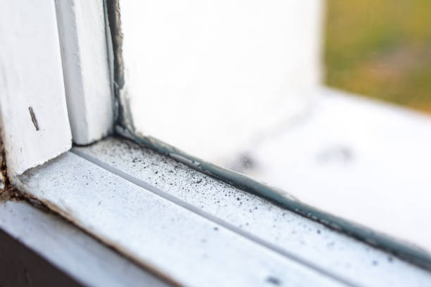 Best Indoor Air Quality Assessment  in Fussels Corner, FL