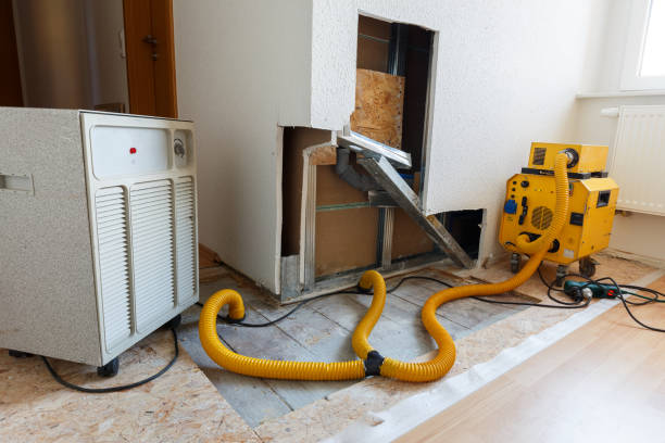 Best Attic Mold Removal  in Fussels Corner, FL