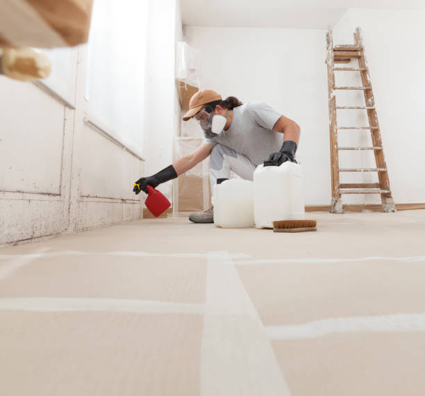 Best Asbestos and Lead Testing During Mold Inspection  in Fussels Corner, FL