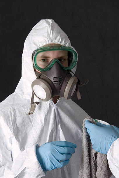Best Crawl Space Mold Remediation  in Fussels Corner, FL